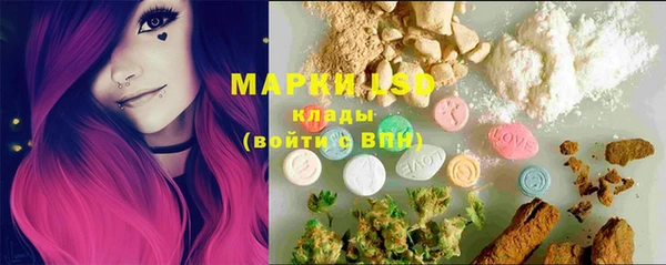 стафф Надым