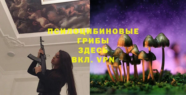 стафф Надым