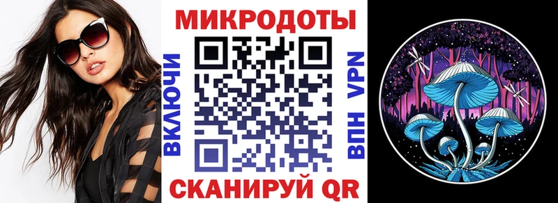 Купить закладки  Новотроицк  Галлюциногенные грибы мухоморы 
