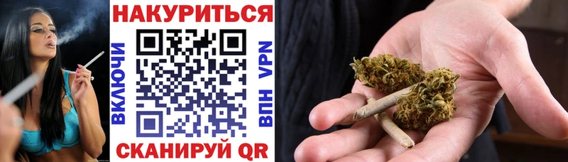 Купить закладки  Новотроицк  Марихуана план 